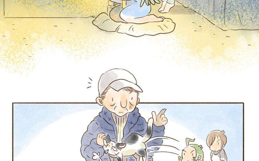 11.jpg