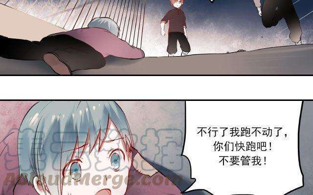 41.jpg