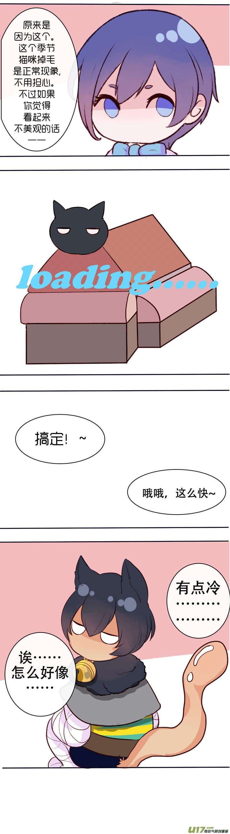 17.jpg
