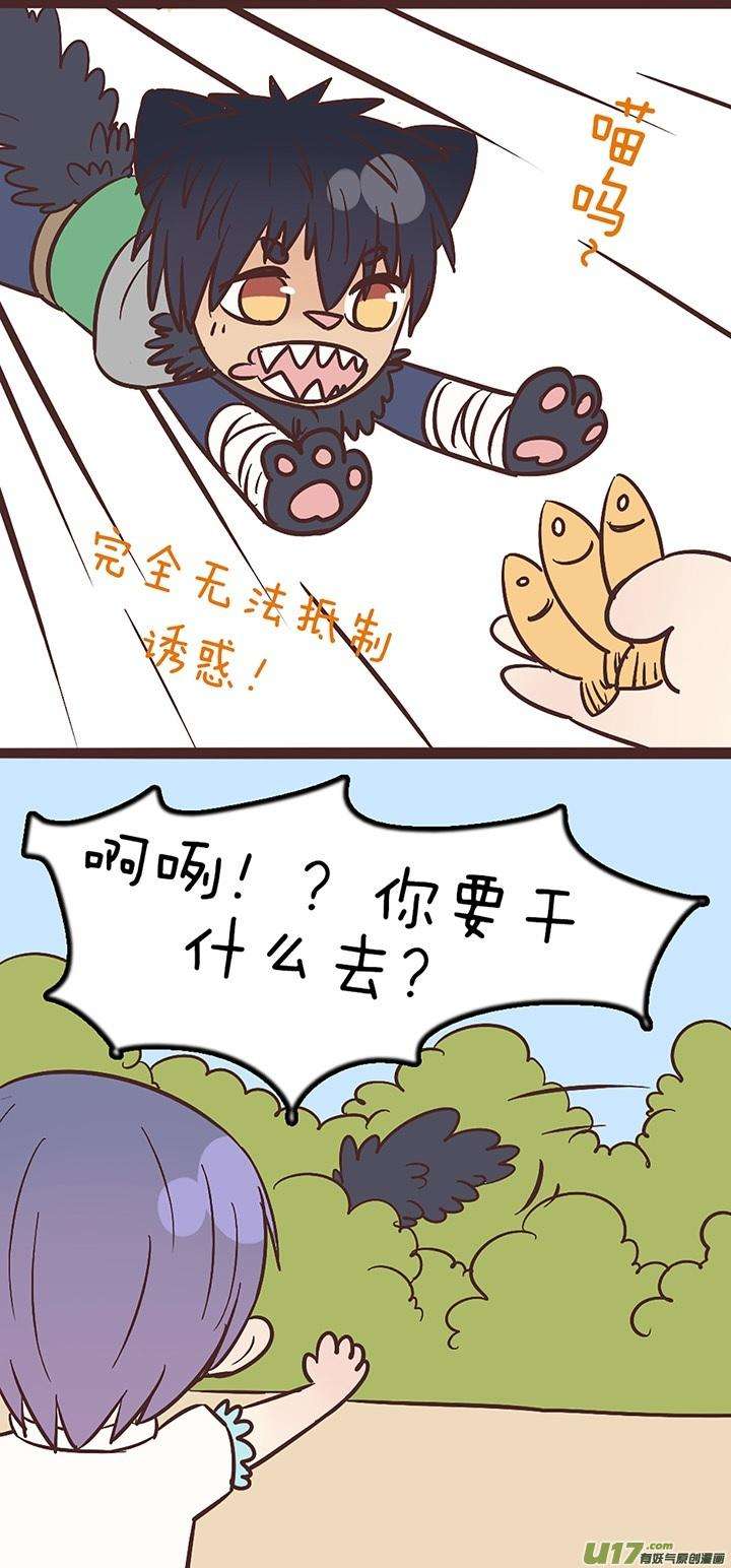 15.jpg