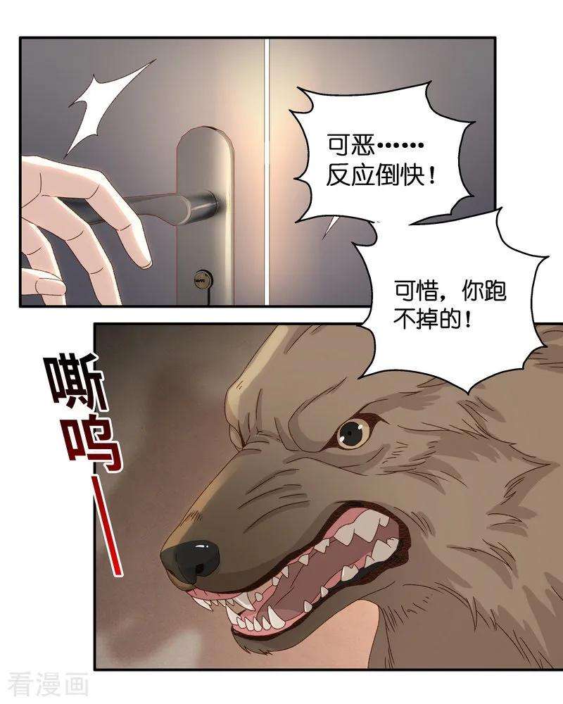 12.jpg