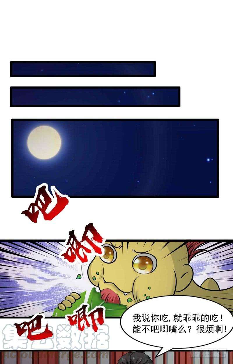 17.jpg