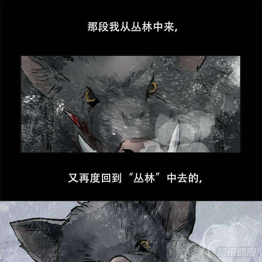 46.jpg