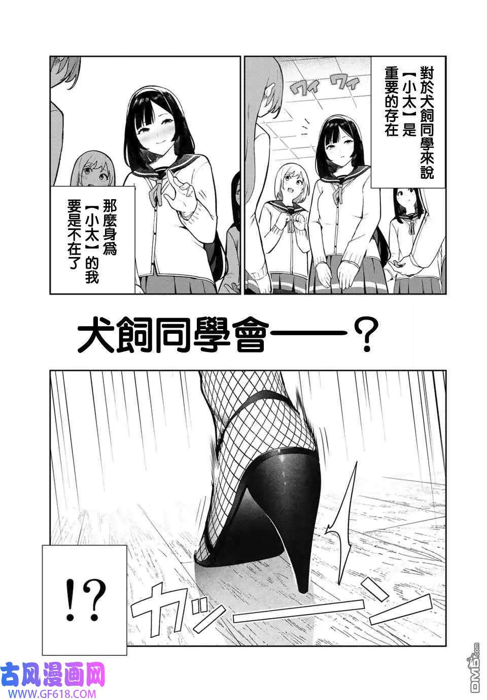 17.jpg