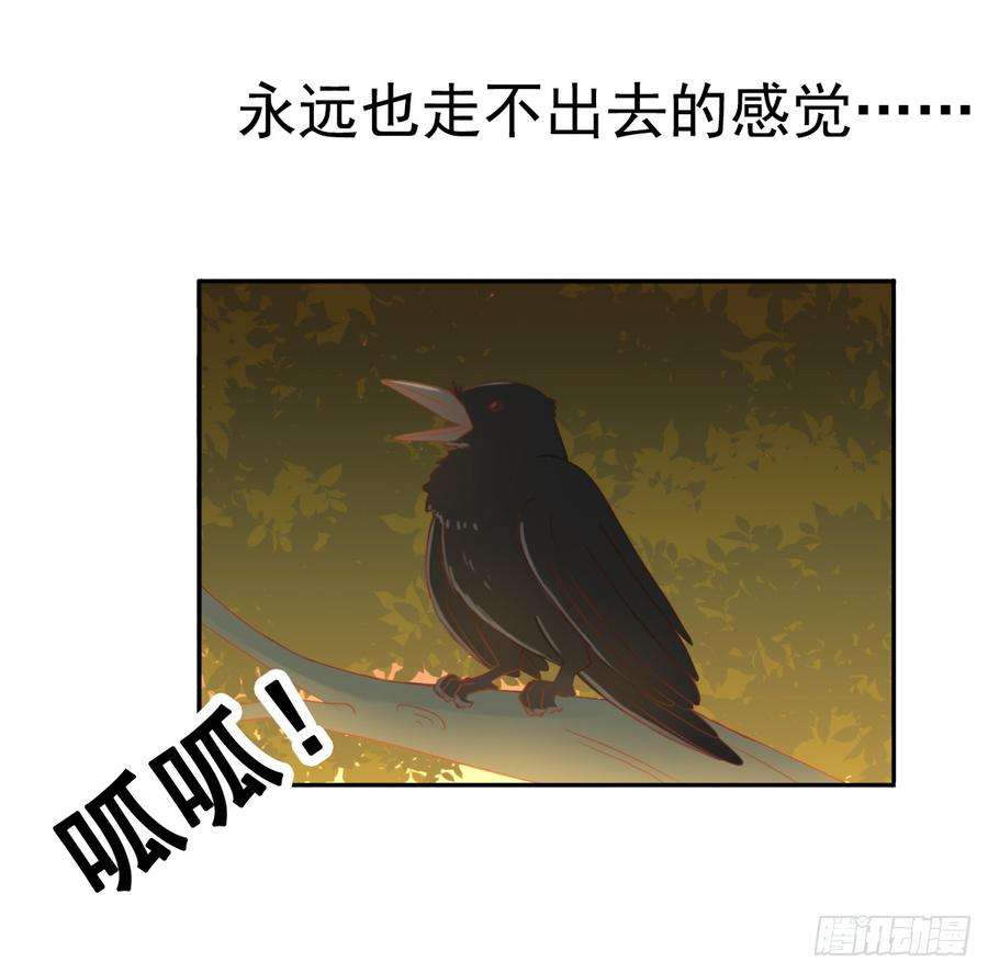 53.jpg
