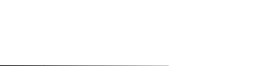 115.jpg