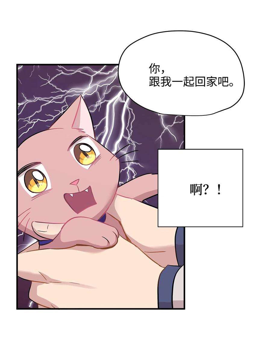 39.jpg