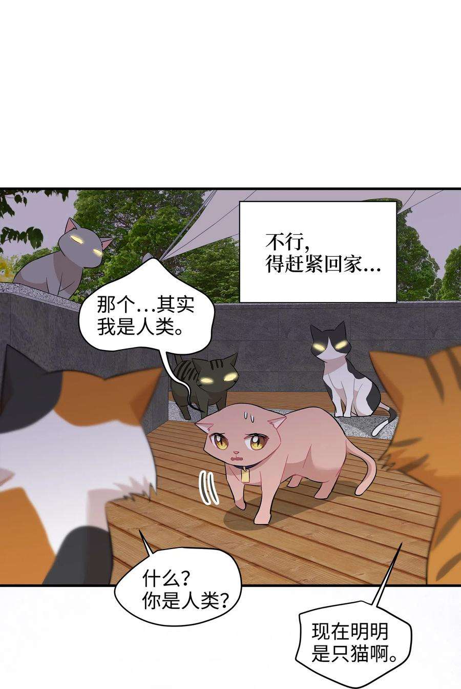 21.jpg