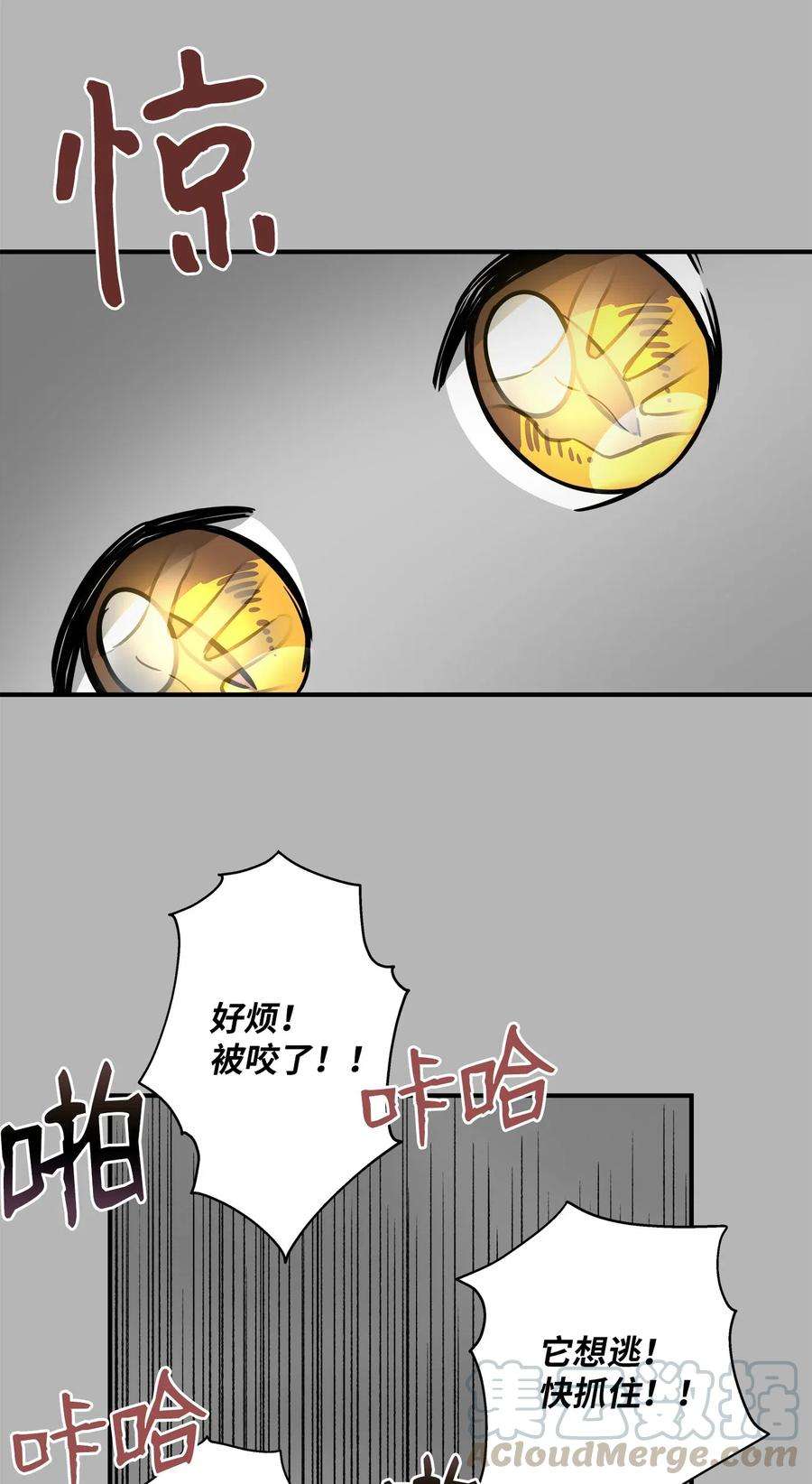 37.jpg