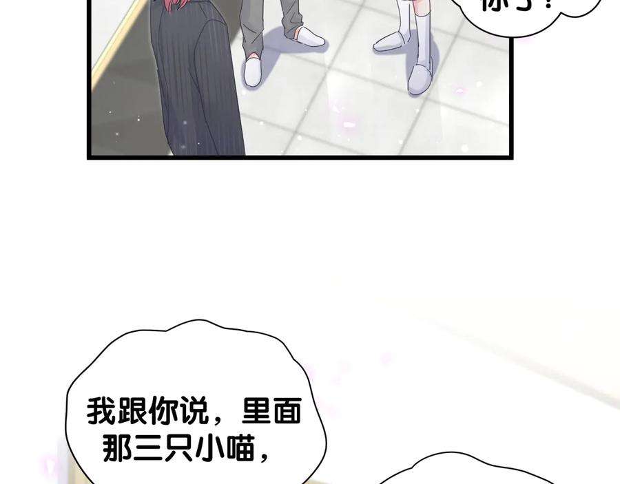 55.jpg