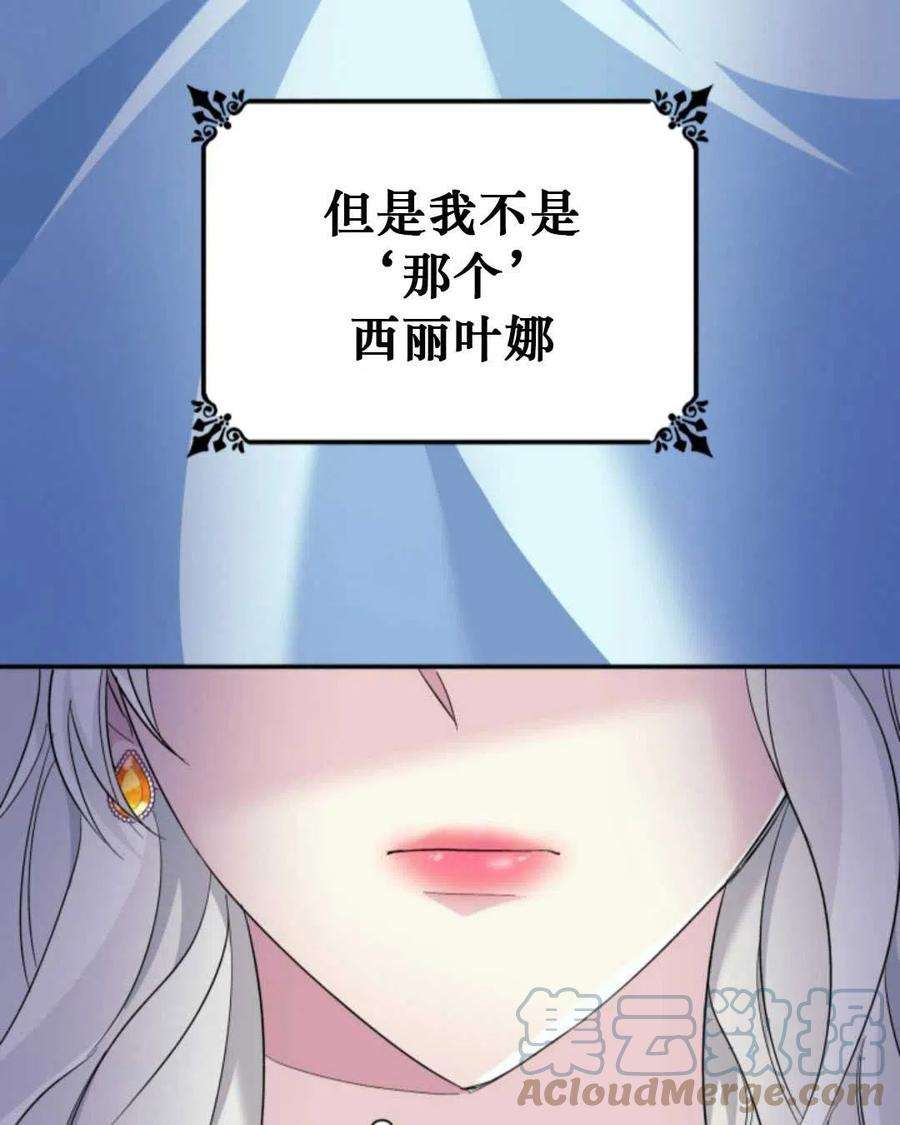 113.jpg
