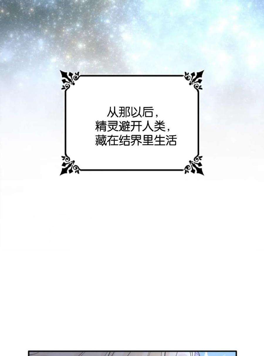 95.jpg