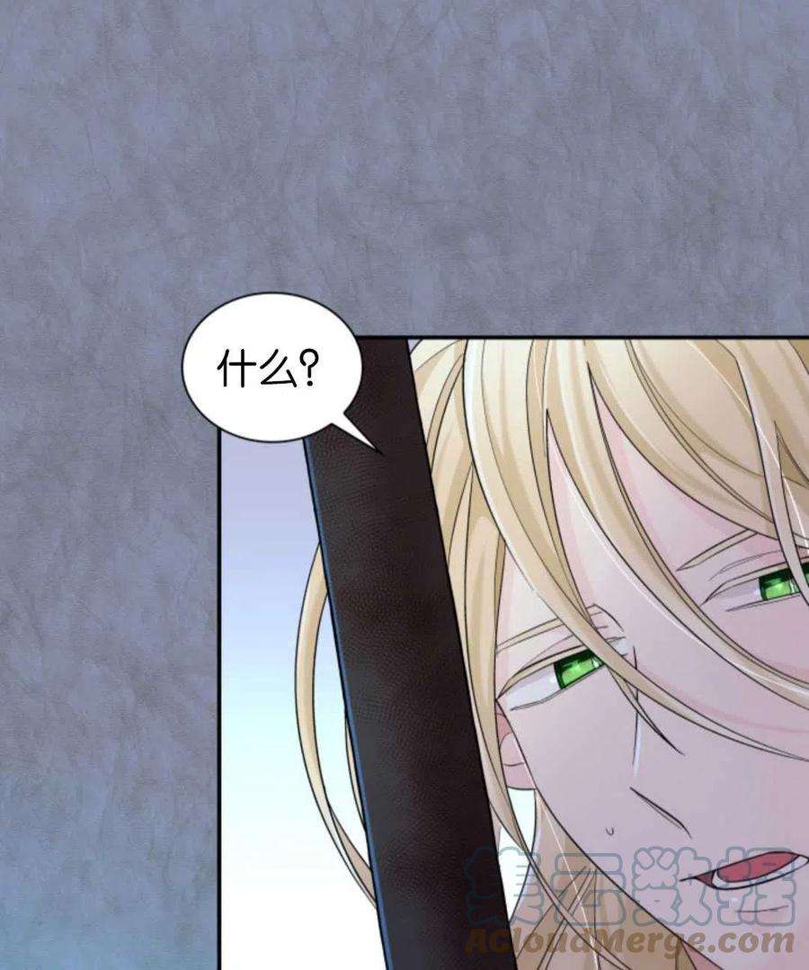 77.jpg