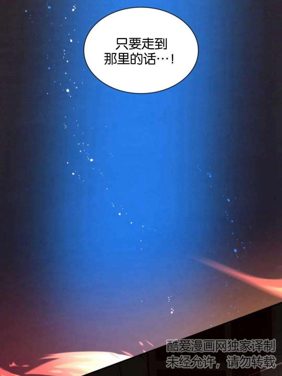 95.jpg