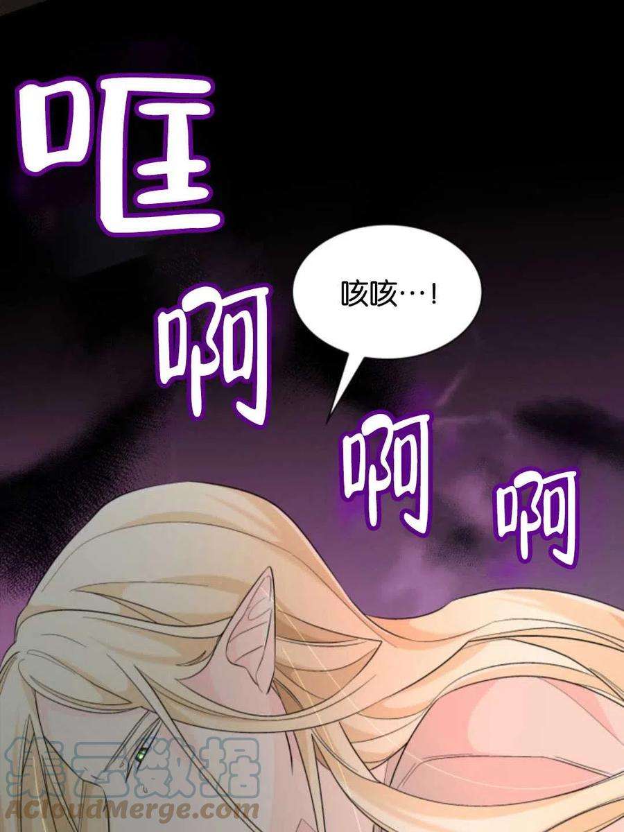 97.jpg