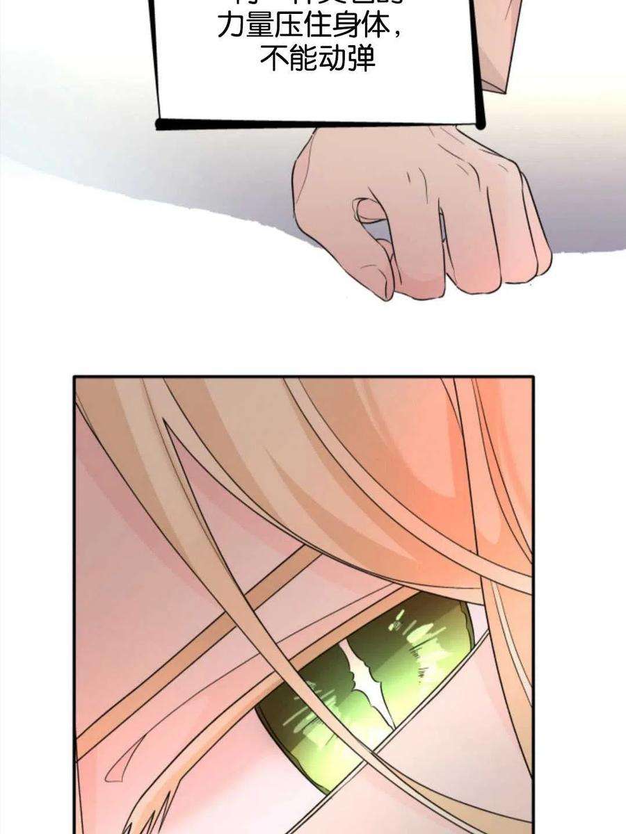 99.jpg