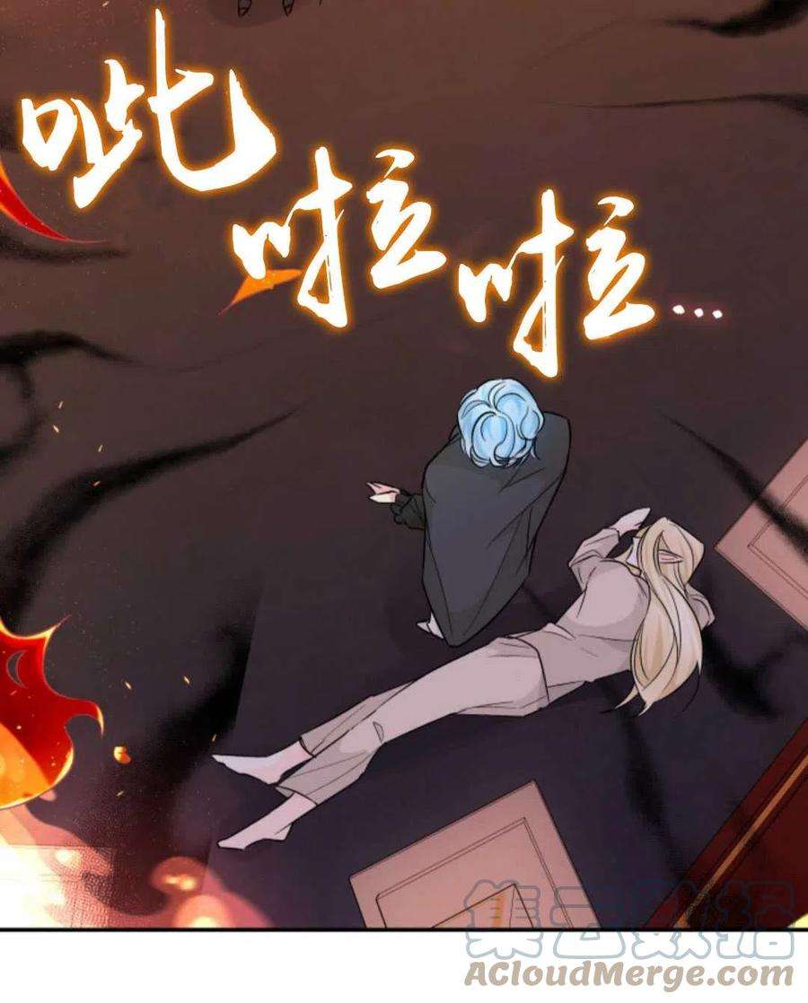 113.jpg