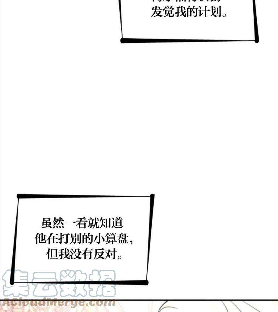 85.jpg