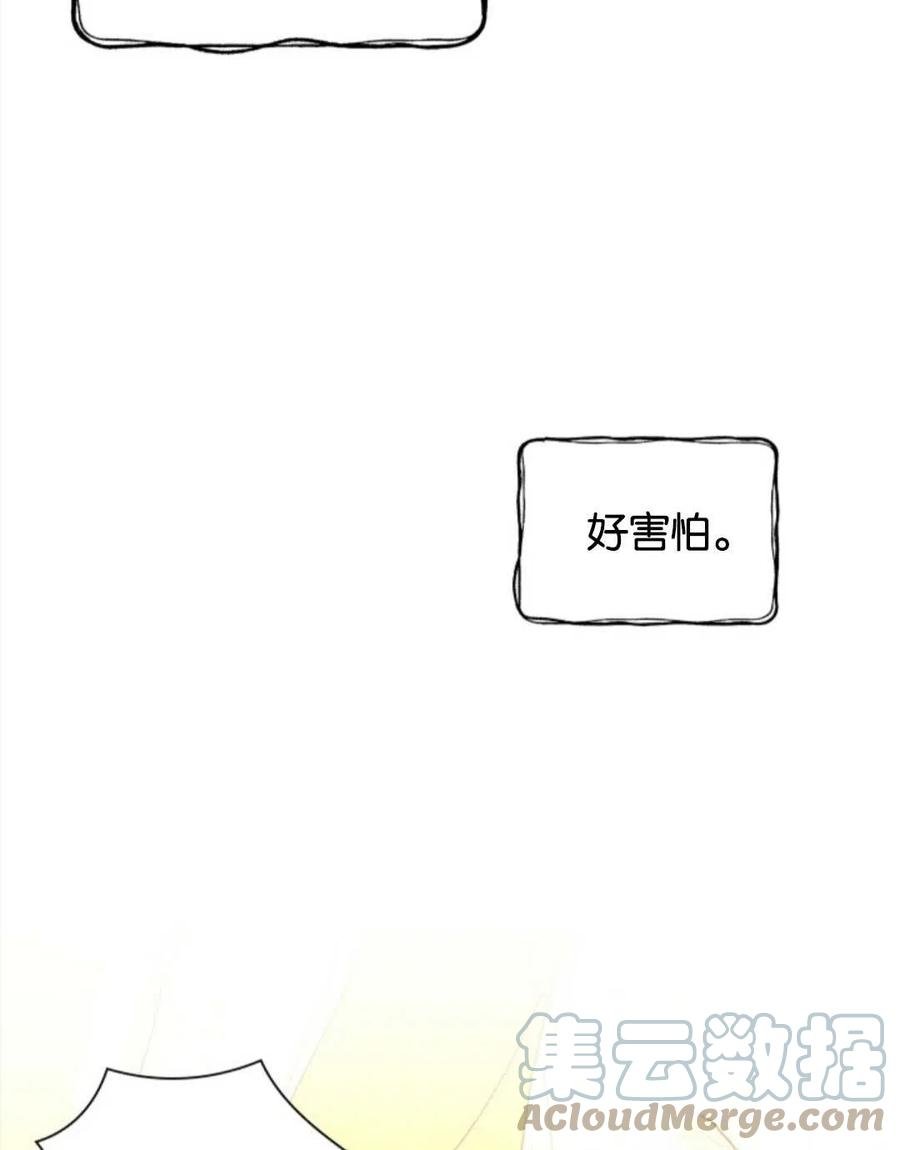 85.jpg