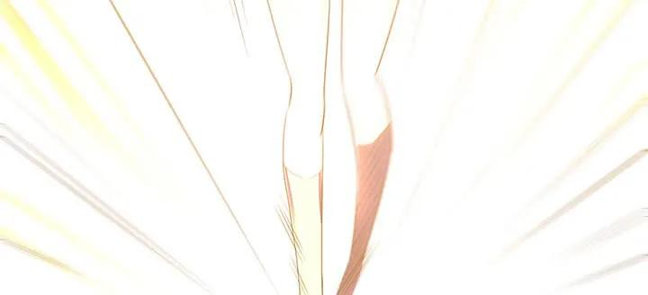 219.jpg