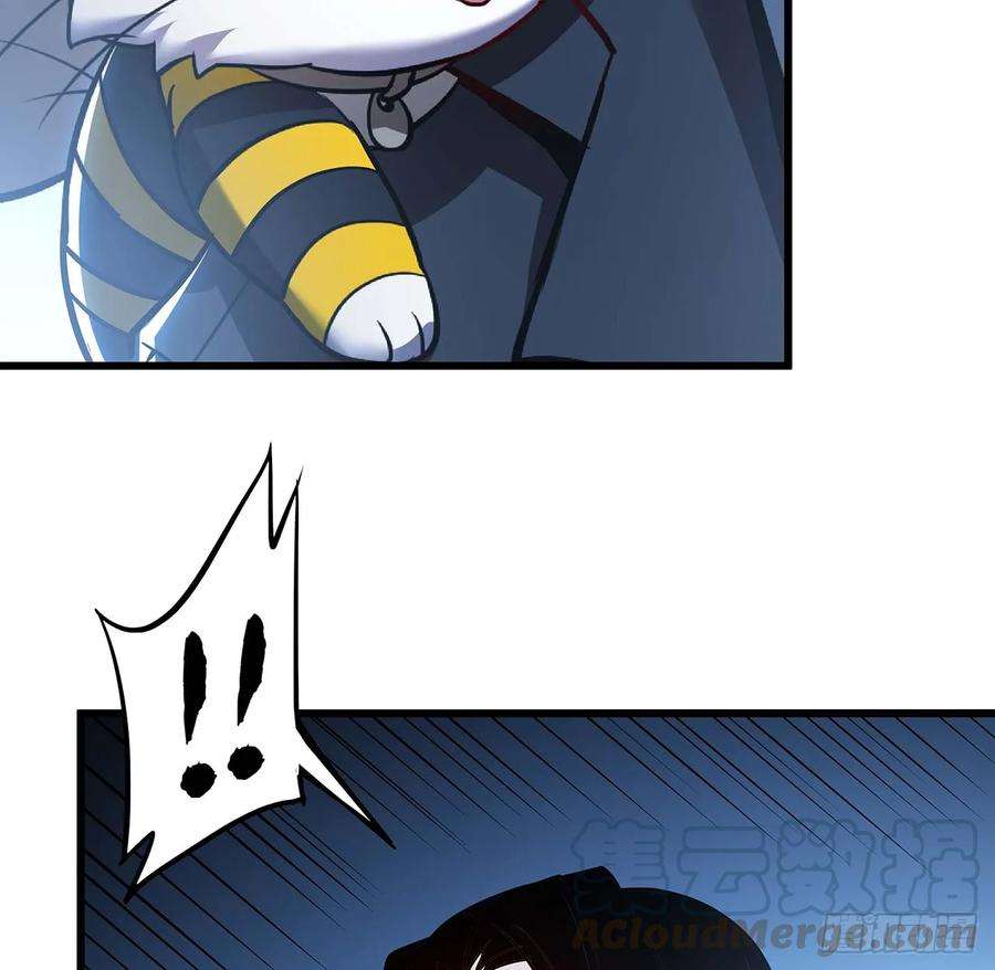 51.jpg