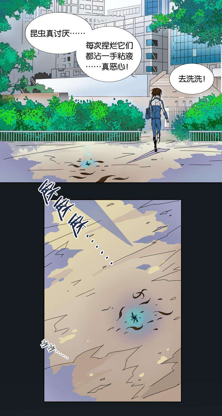 17.jpg