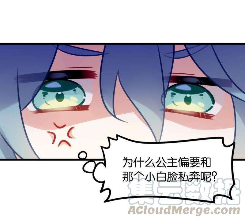 81.jpg