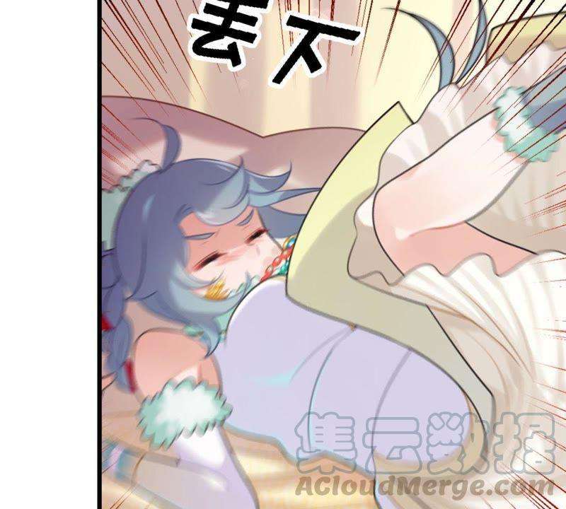 41.jpg