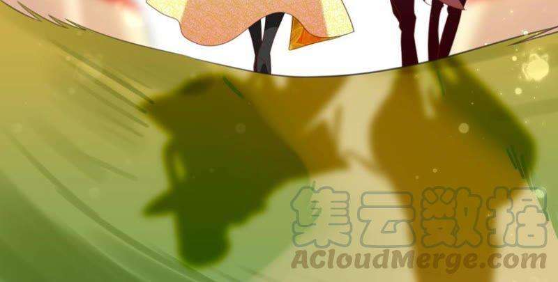 52.jpg