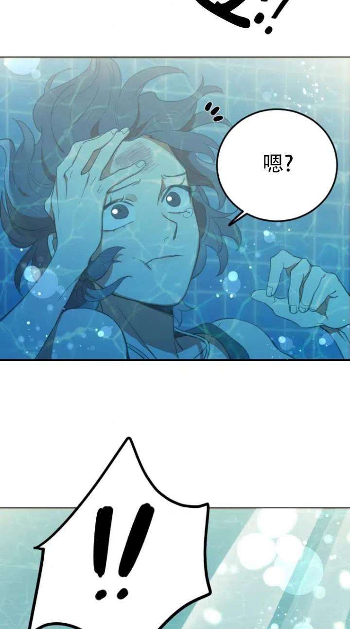 48.jpg
