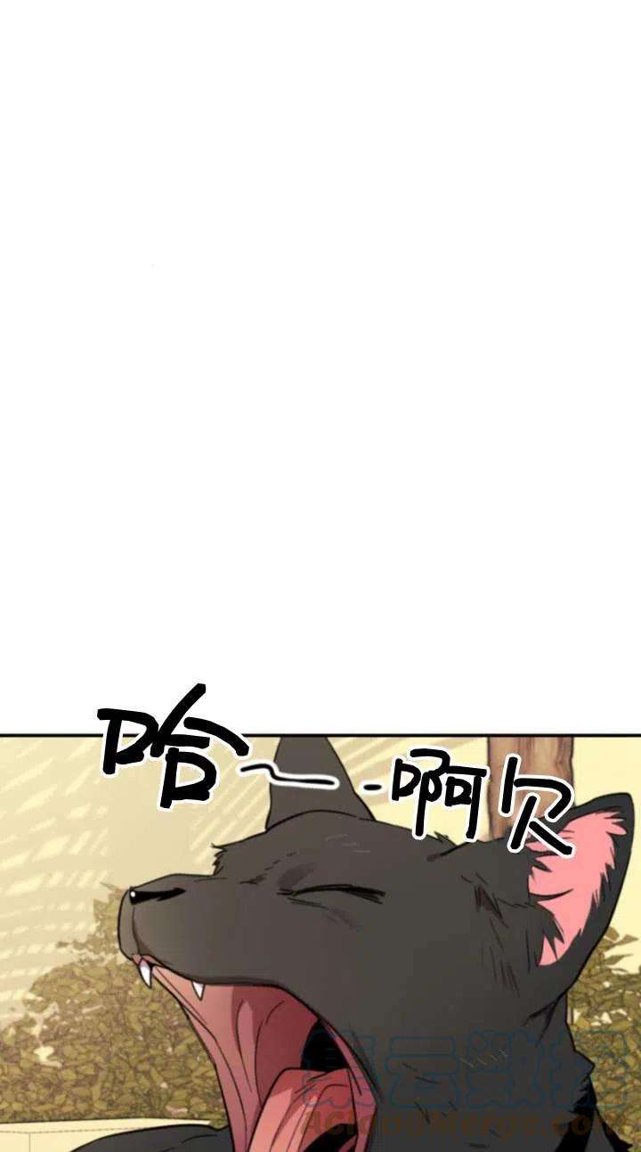 77.jpg