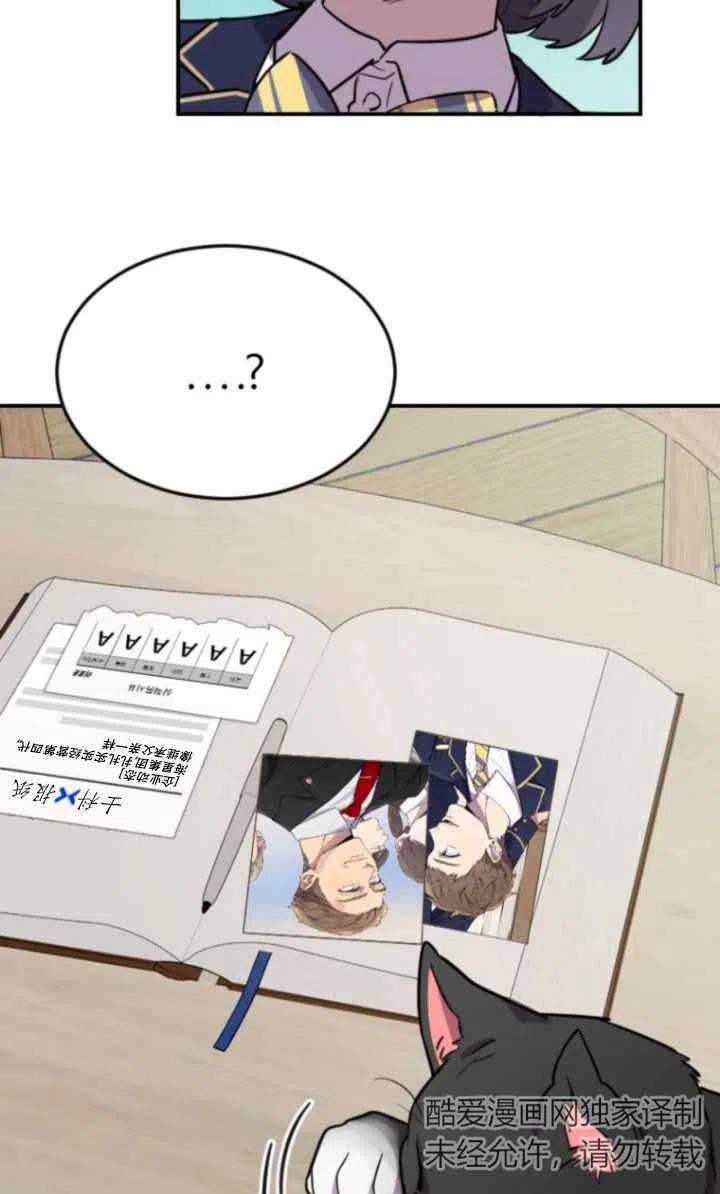 91.jpg