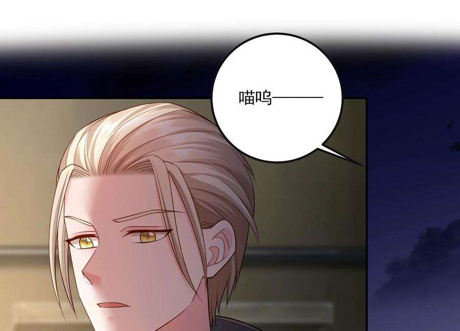 41.jpg