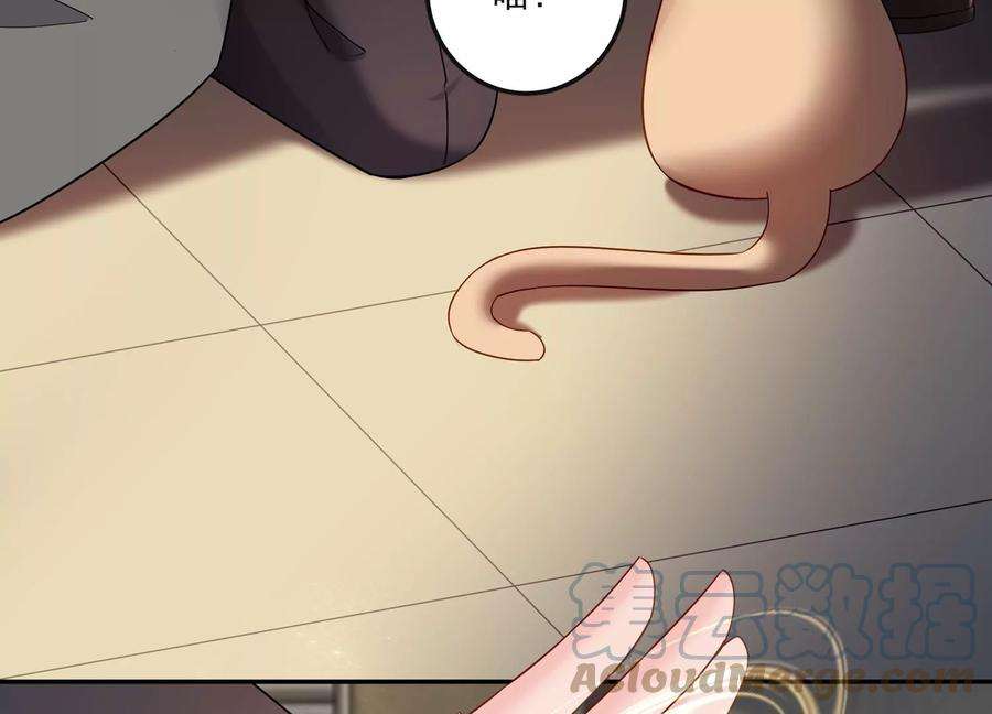 73.jpg