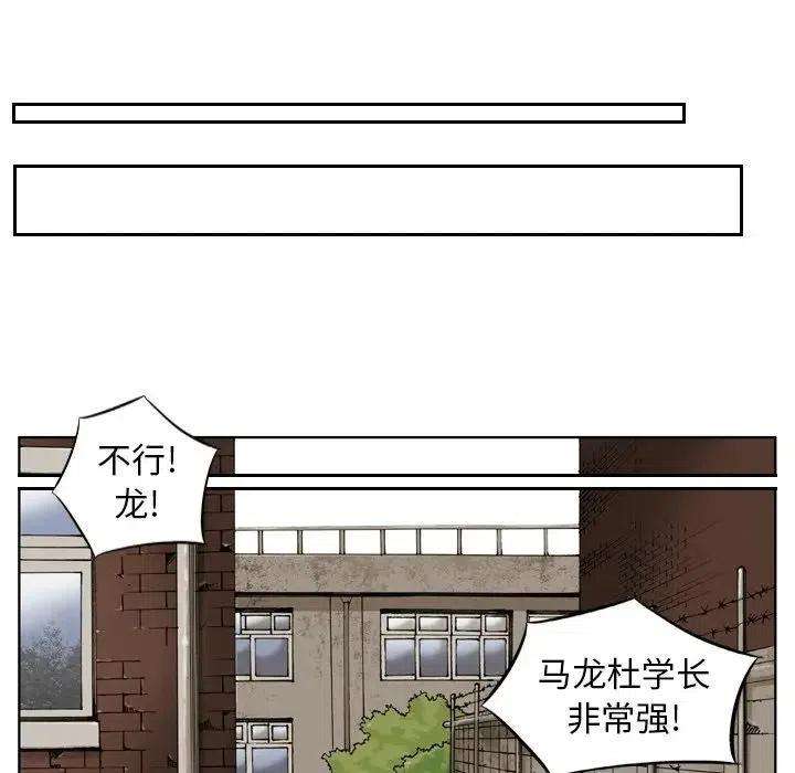 95.jpg