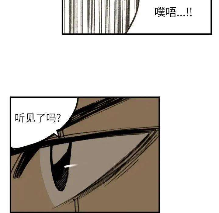 41.jpg