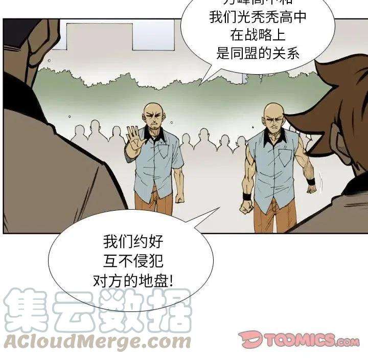 46.jpg