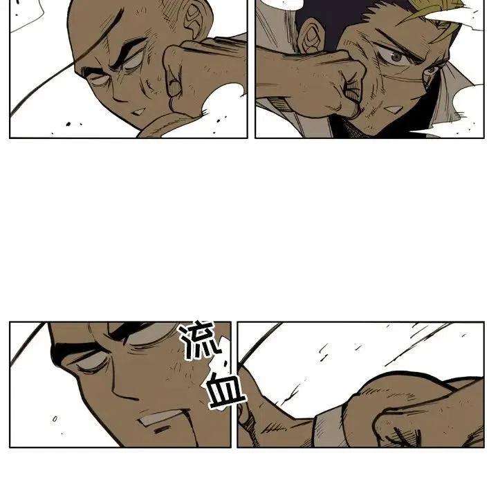 41.jpg