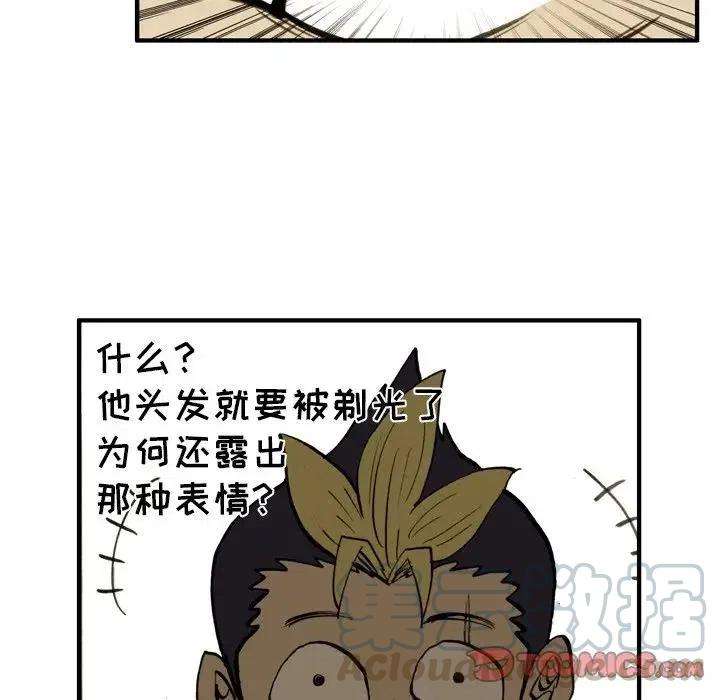 13.jpg