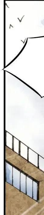 256.jpg