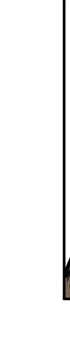 271.jpg