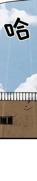 264.jpg