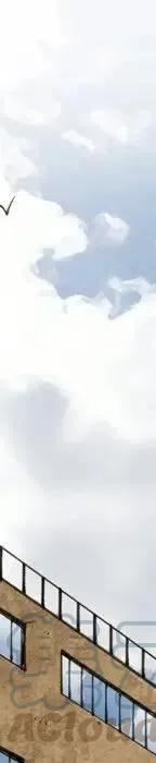 97.jpg
