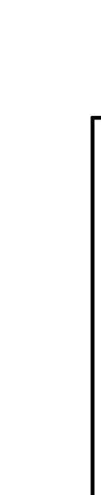 266.jpg