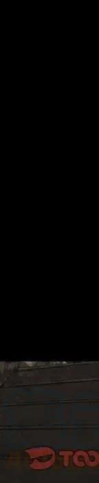 305.jpg