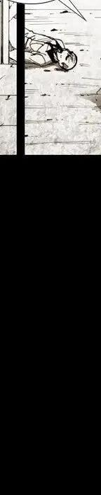 334.jpg