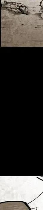 342.jpg