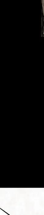 283.jpg