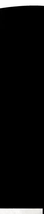 296.jpg