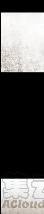 337.jpg